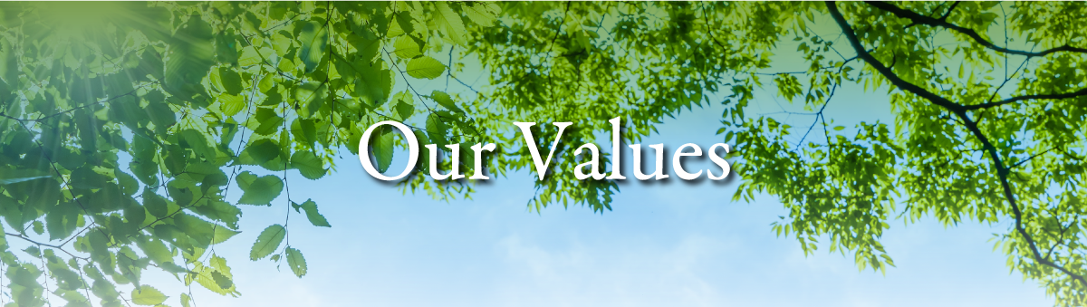 Thoughts of the Mitsubishi Yowakai