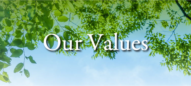 Thoughts of the Mitsubishi Yowakai